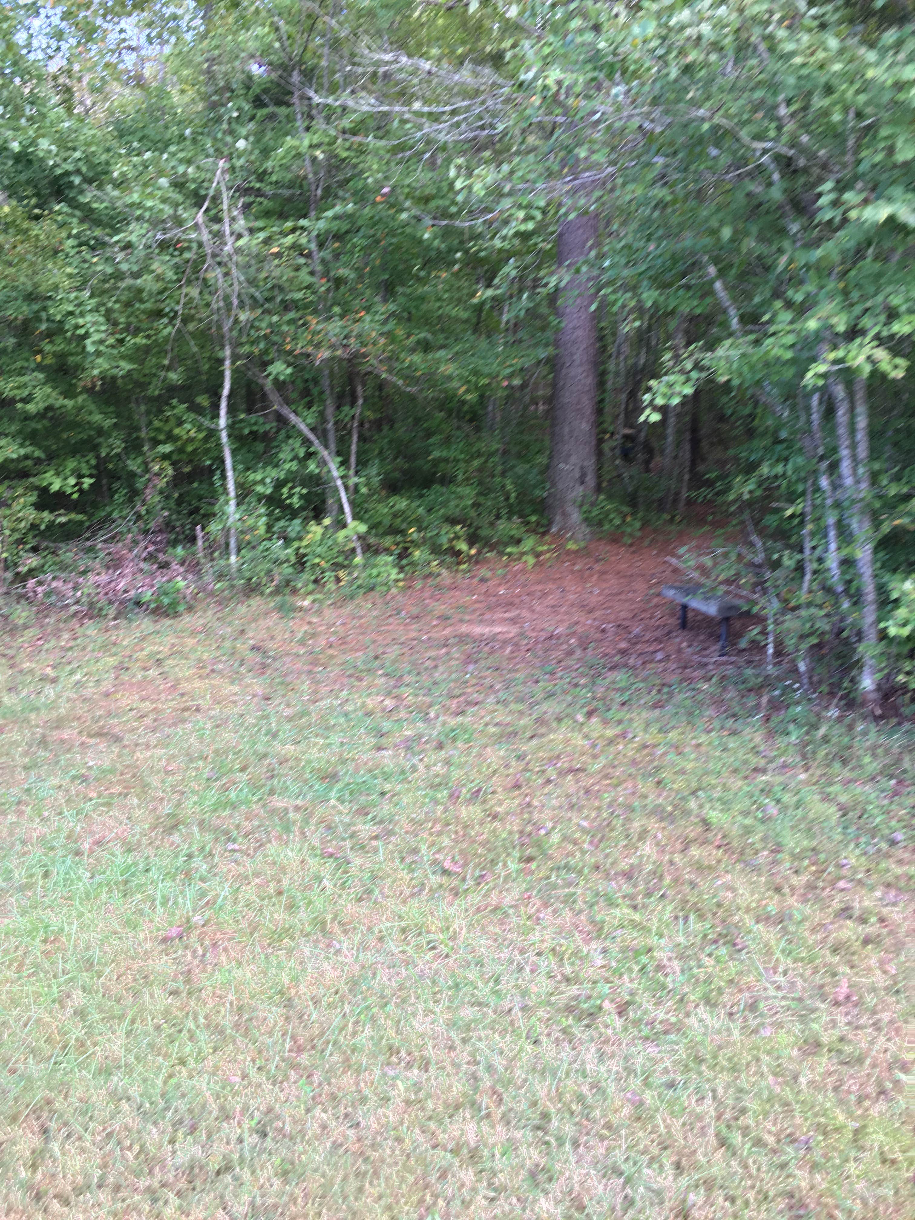 Camper-submitted photo at Camp Comet Campground - Silver Comet Trail near Fruithurst, AL