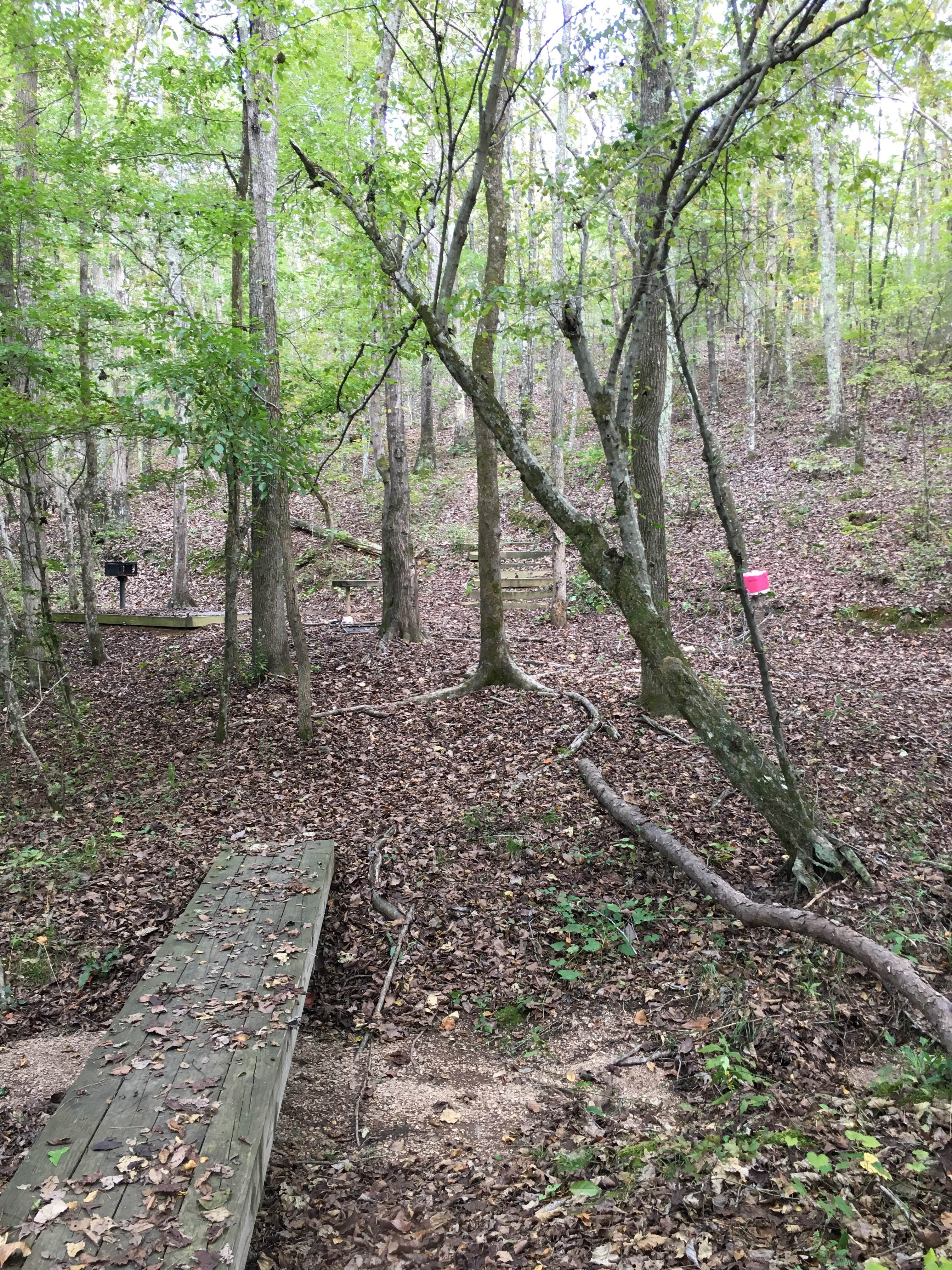 Camper-submitted photo at Camp Comet Campground - Silver Comet Trail near Fruithurst, AL