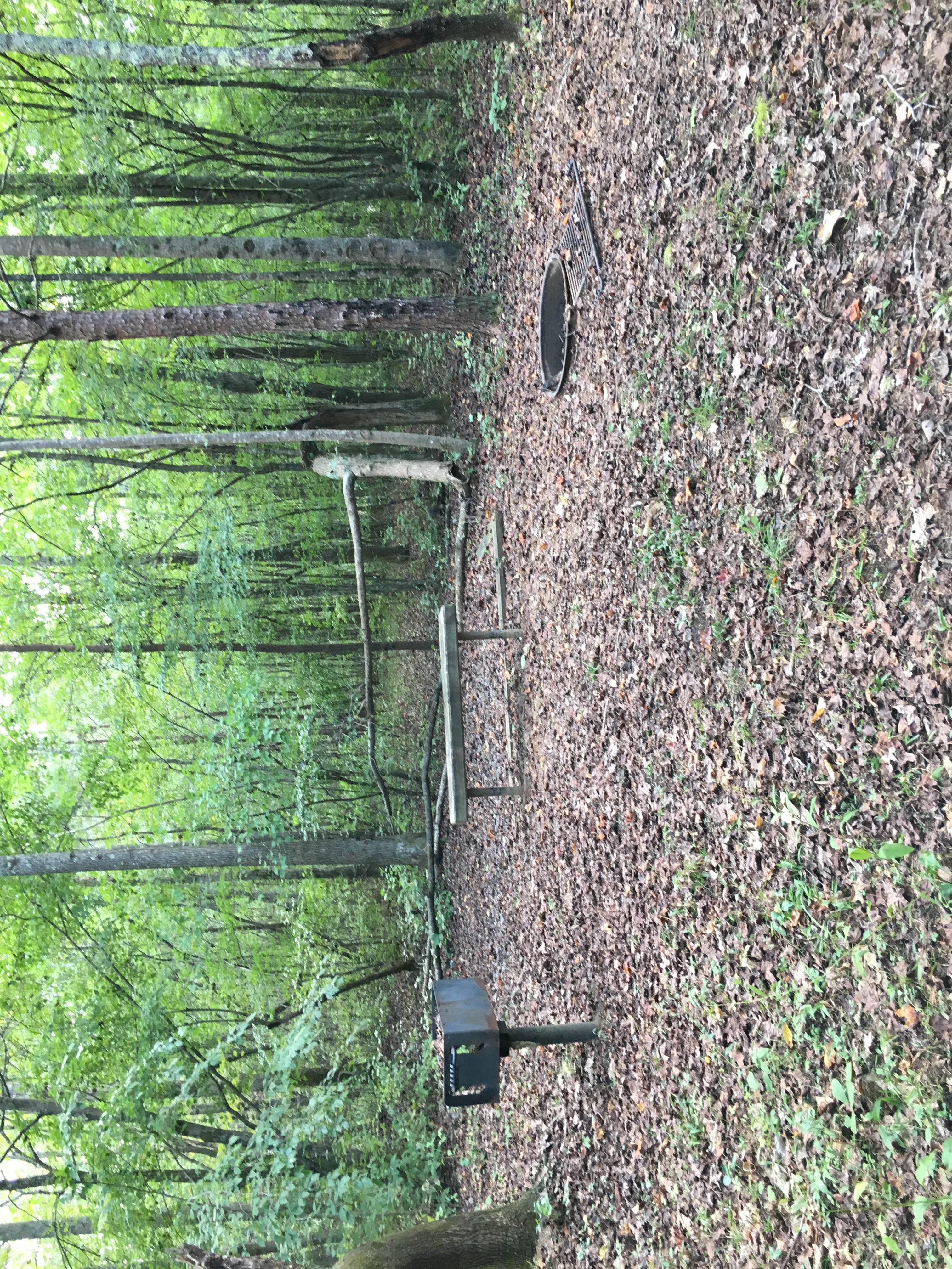 Camper-submitted photo at Camp Comet Campground - Silver Comet Trail near Fruithurst, AL