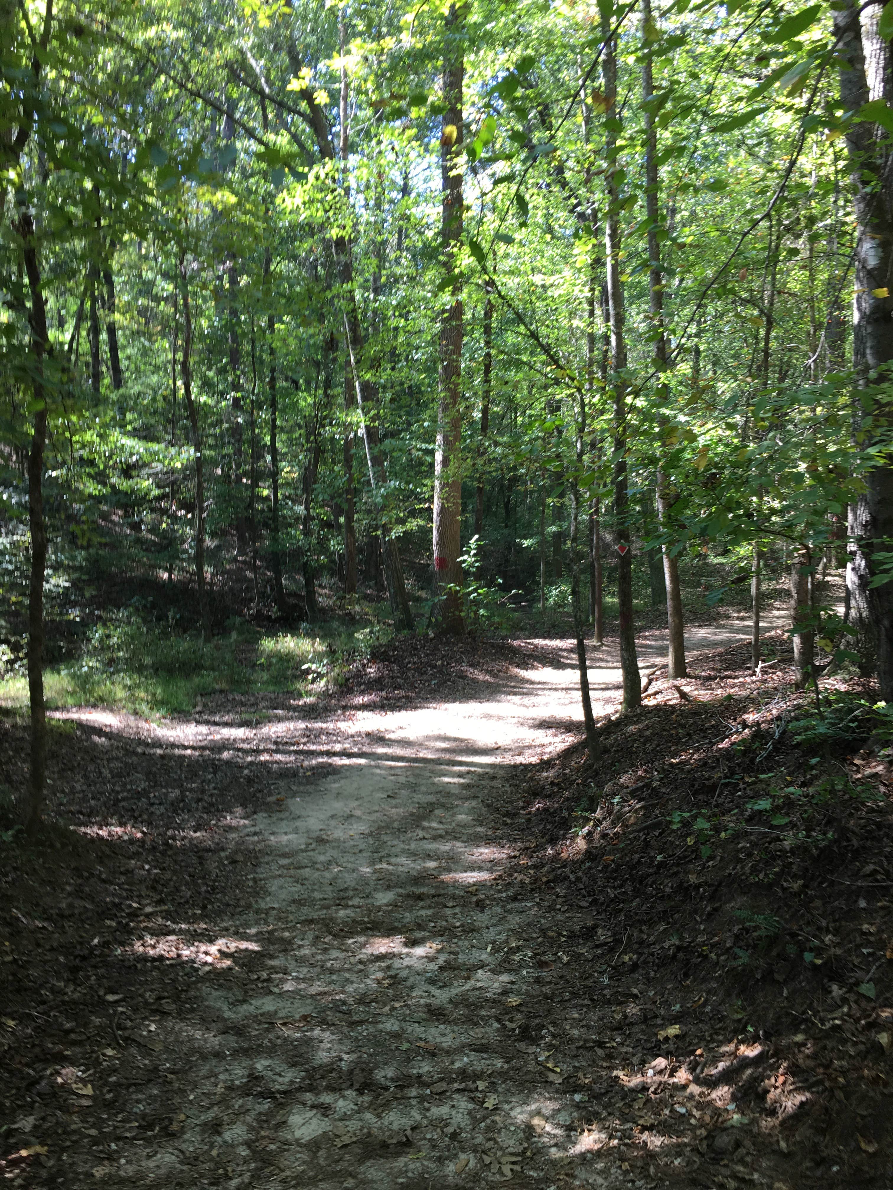 Camper-submitted photo at Sweetwater Campground near Mableton, GA