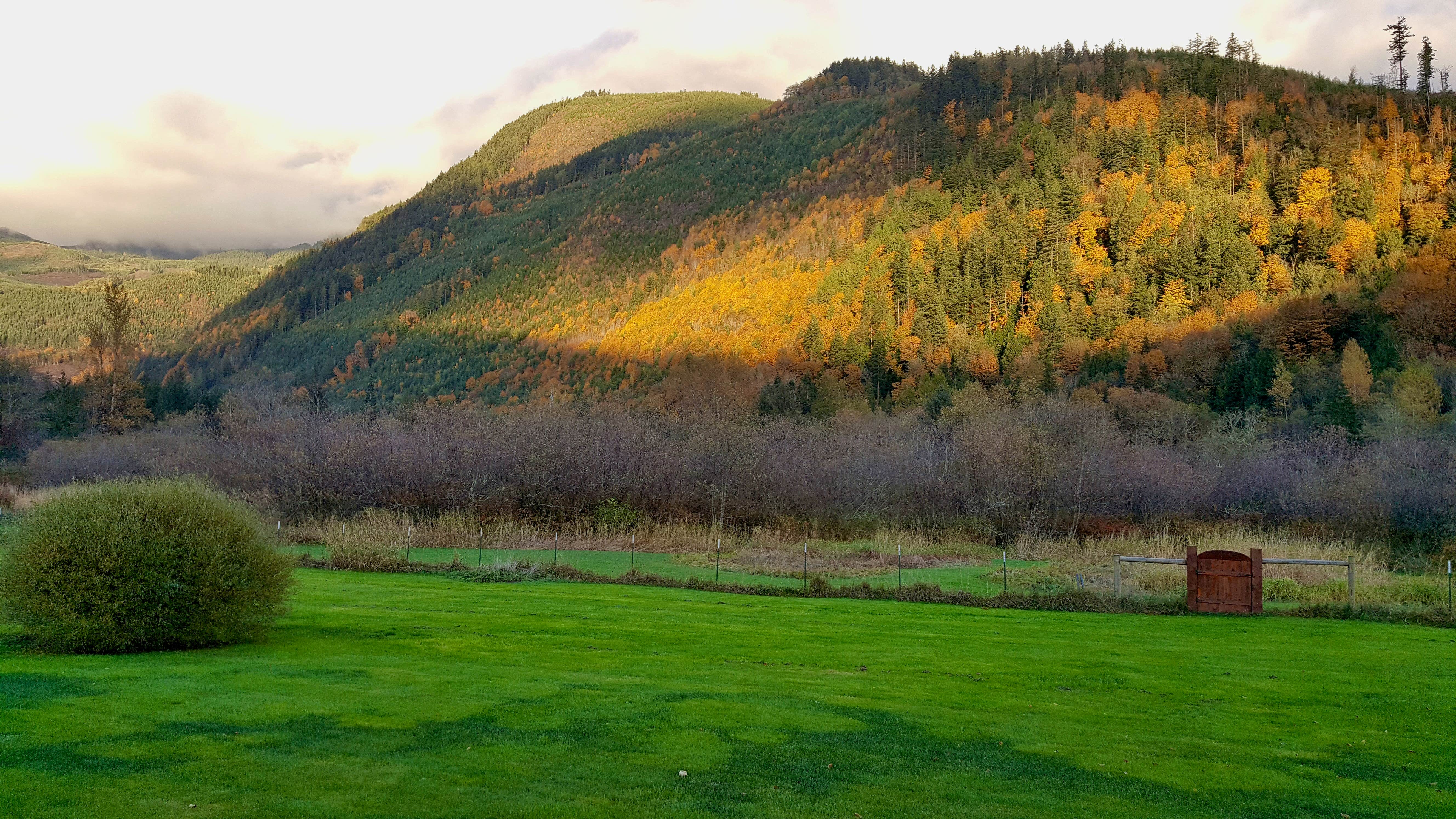 Camper-submitted photo at Silver Lake Valley Sanctuary Camp near Maple Falls, WA