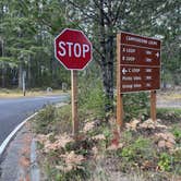 Review photo of Newhalem Creek Campground by Lee D., November 19, 2023