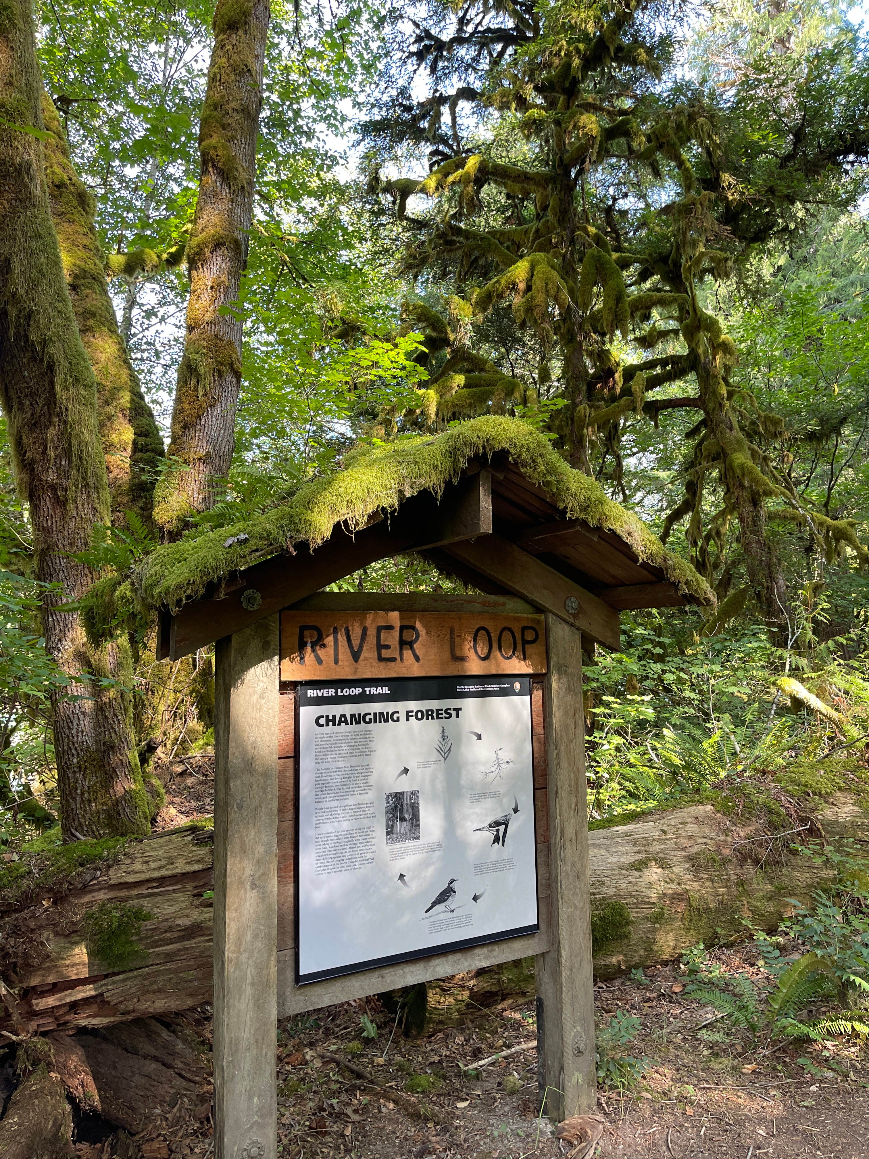 Lake Chelan National Recreation Area - Photo 3