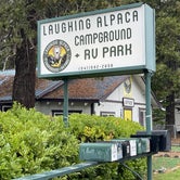 Review photo of Laughing Alpaca Campground + RV Park by Lee D., November 19, 2023