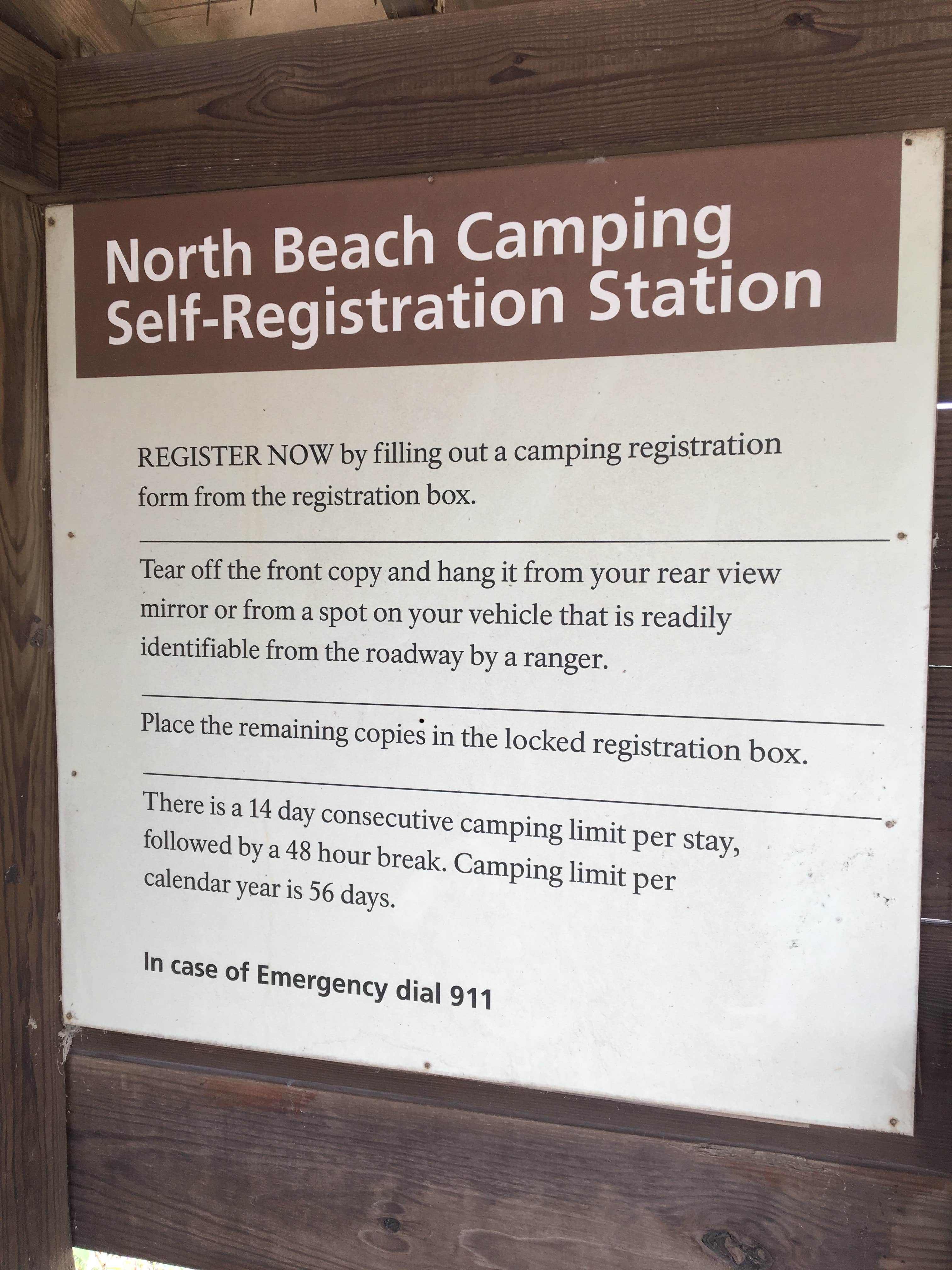 Camper submitted image from North Beach — Padre Island National Seashore - 3