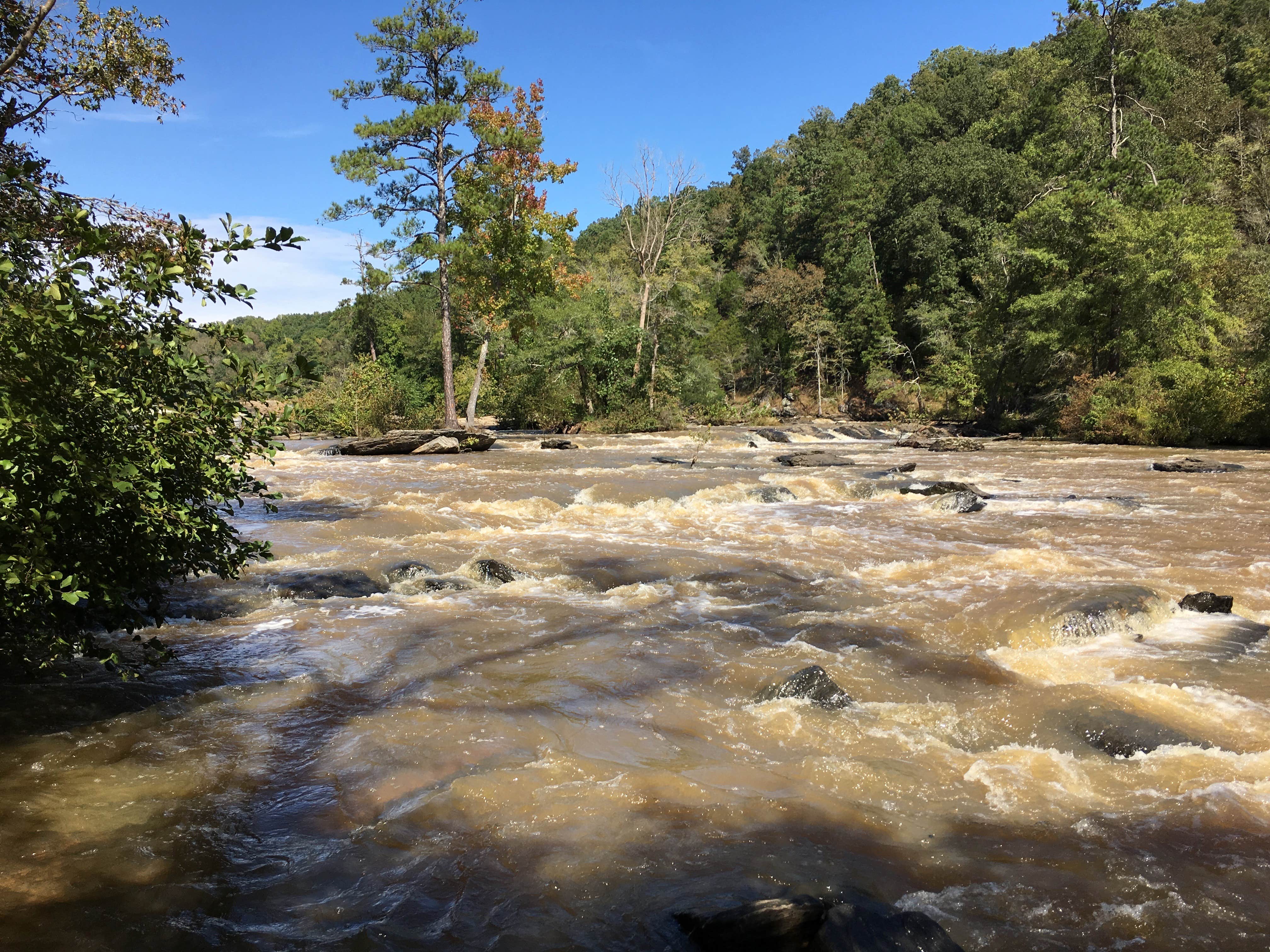Camper-submitted photo at Sweetwater Creek RV Reserve near Mableton, GA