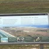 Review photo of North Beach — Padre Island National Seashore by Shelly S., August 22, 2016