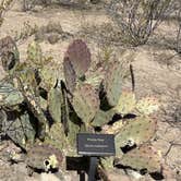 Review photo of Leasburg Dam State Park by Lee D., November 20, 2023