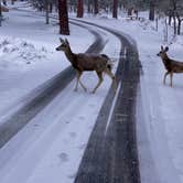 Review photo of Mather Campground — Grand Canyon National Park by Lee D., November 20, 2023