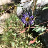 Review photo of Sweetwater Creek State Park Campground by Asher K., November 1, 2018