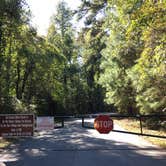 Review photo of Sweetwater Creek State Park Campground by Asher K., November 1, 2018