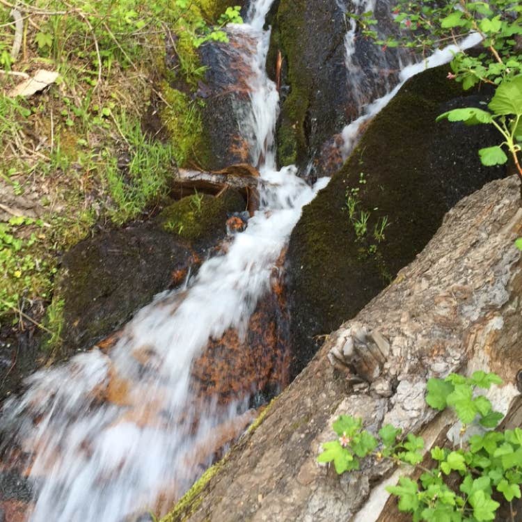 Water