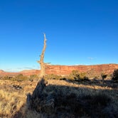 Review photo of BLM Bartlett Flat Camping Area by Gary S., November 21, 2023