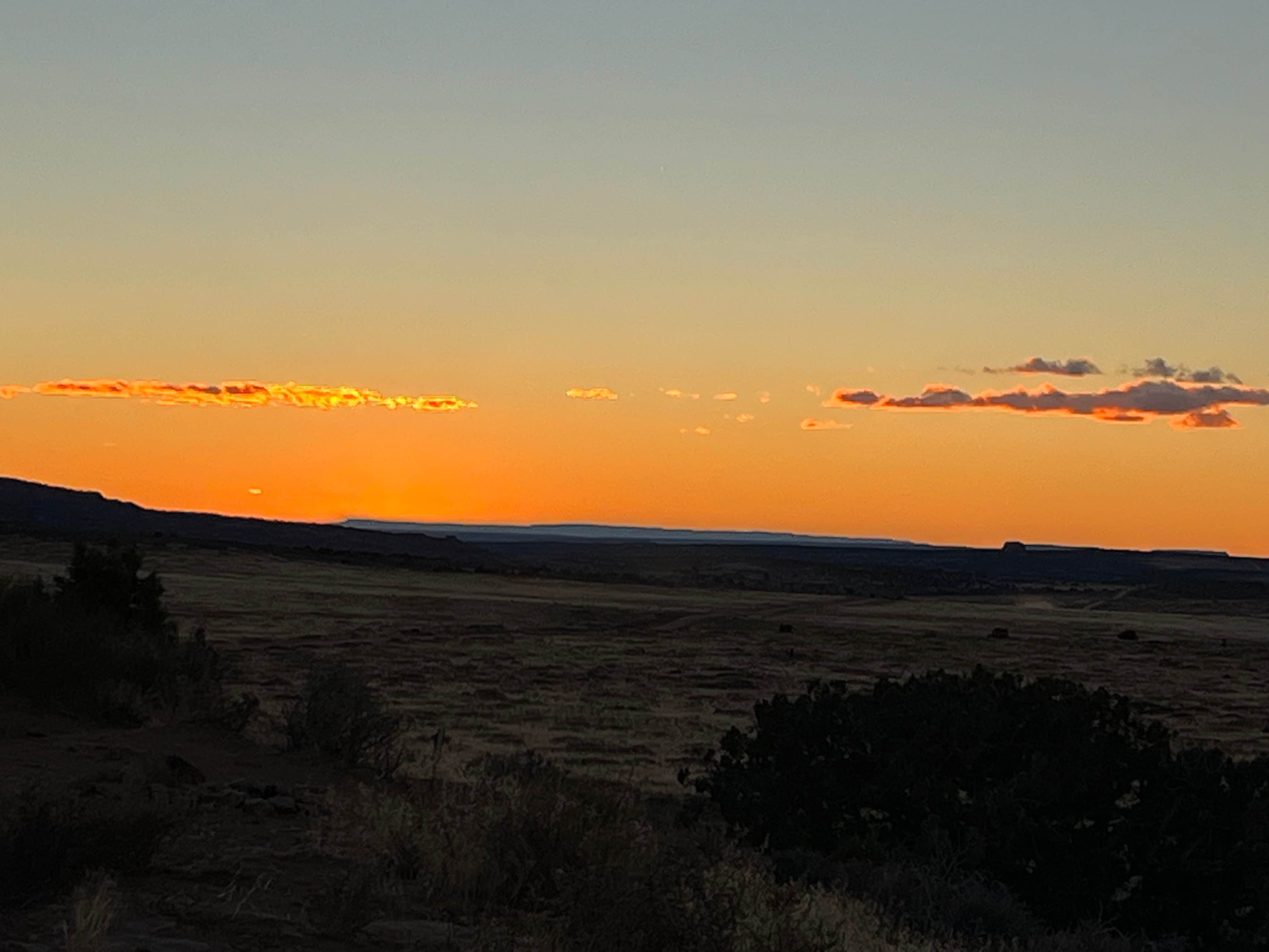 Camper-submitted photo at BLM Bartlett Flat Camping Area near Arches National Park