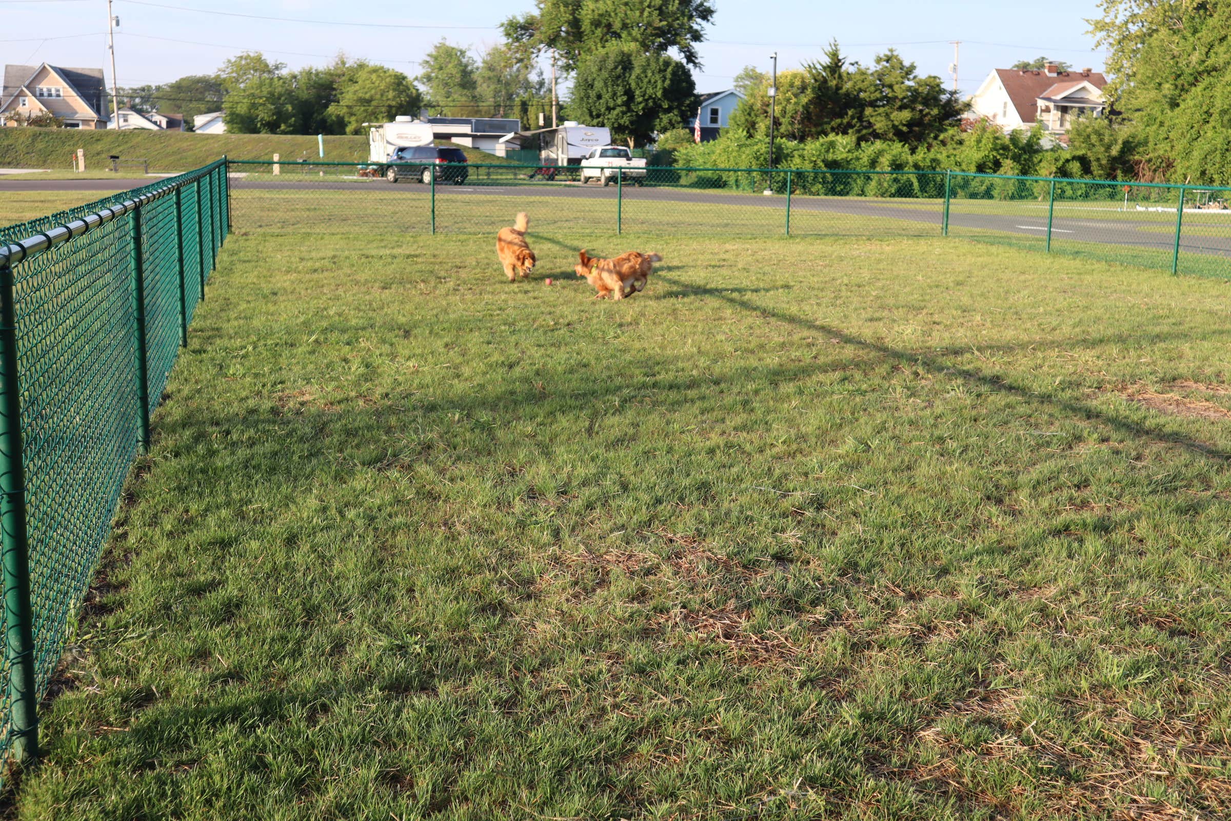 Pamela C.'s photo of camping with pets at Bayfront Resort near Lorain, OH