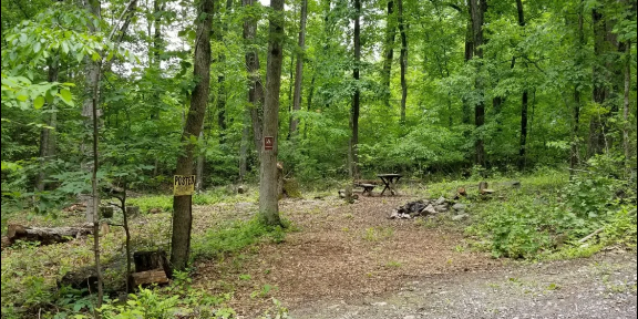 Camper submitted image from Smith Ridge Harper's Ferry