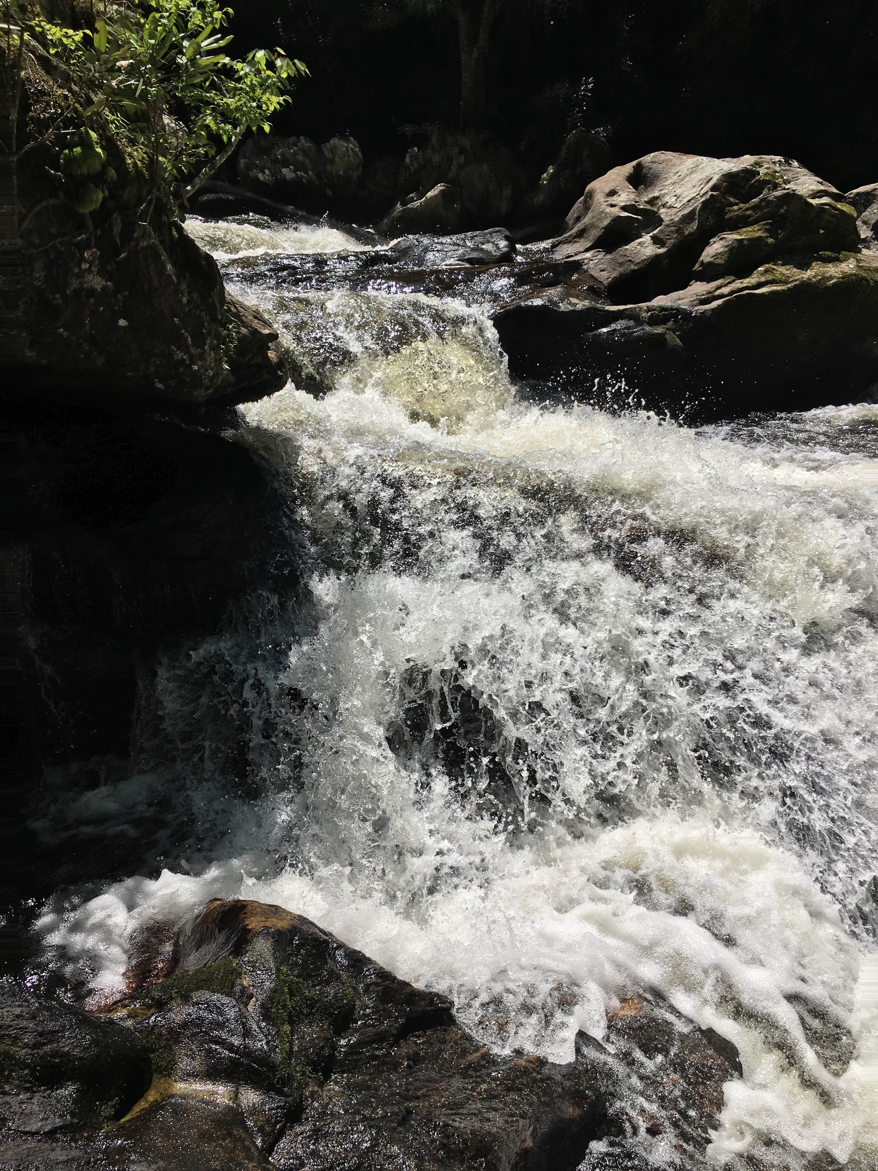 Camper-submitted photo at Cullasaja River Campground near Glenville, NC