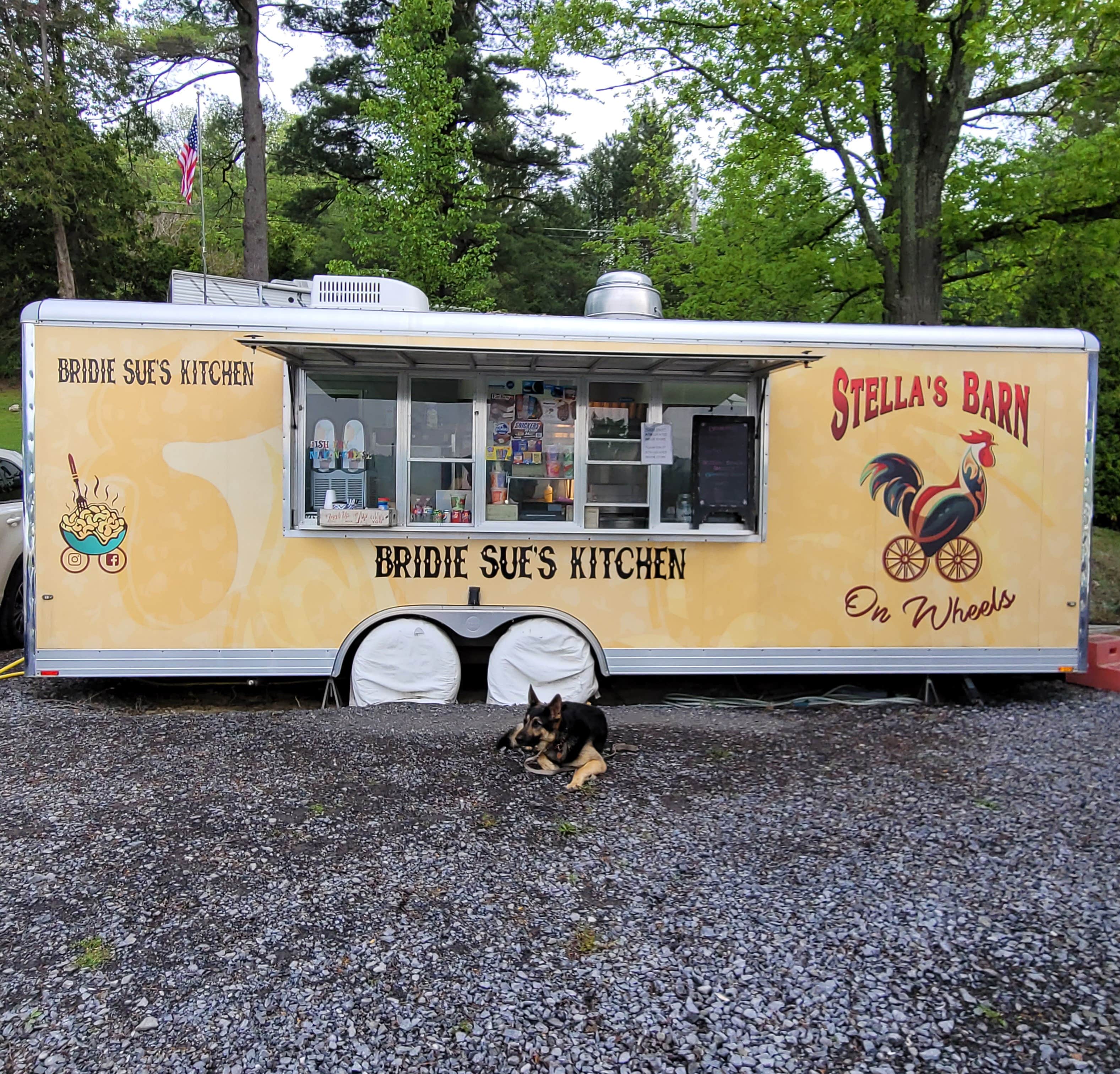 Bob G.'s photo of camping with pets at Cool Lea Camp LLC near Candor, NY
