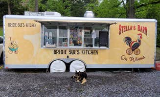 Bob G.'s photo of camping with pets at Cool Lea Camp LLC near Cowanesque Lake