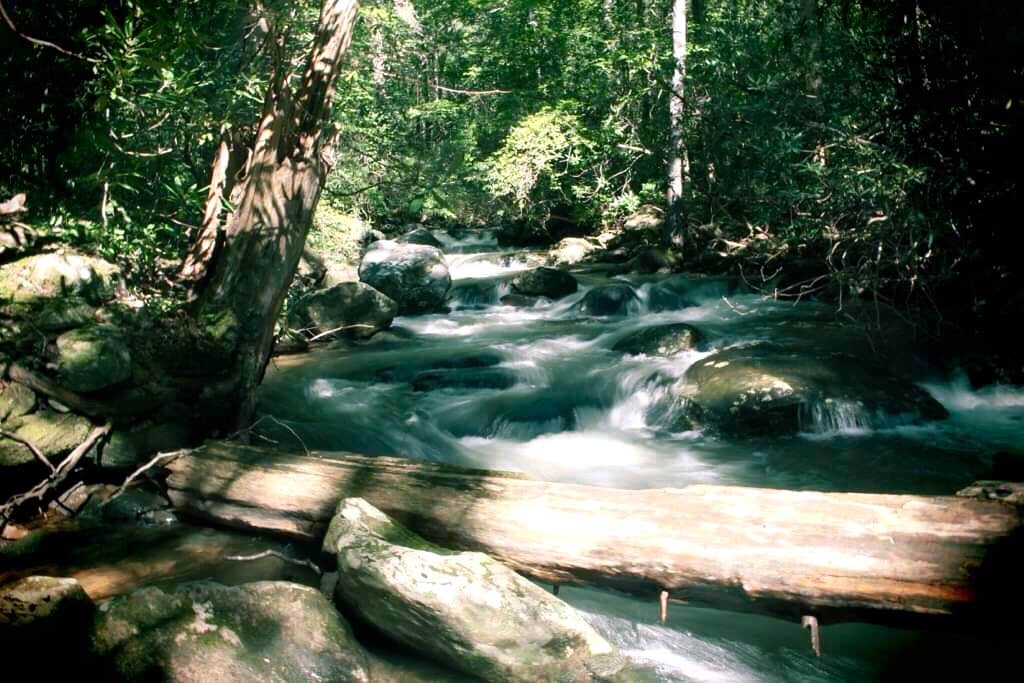 Camper-submitted photo at Asbury Hills Summer Camps near Slater, SC