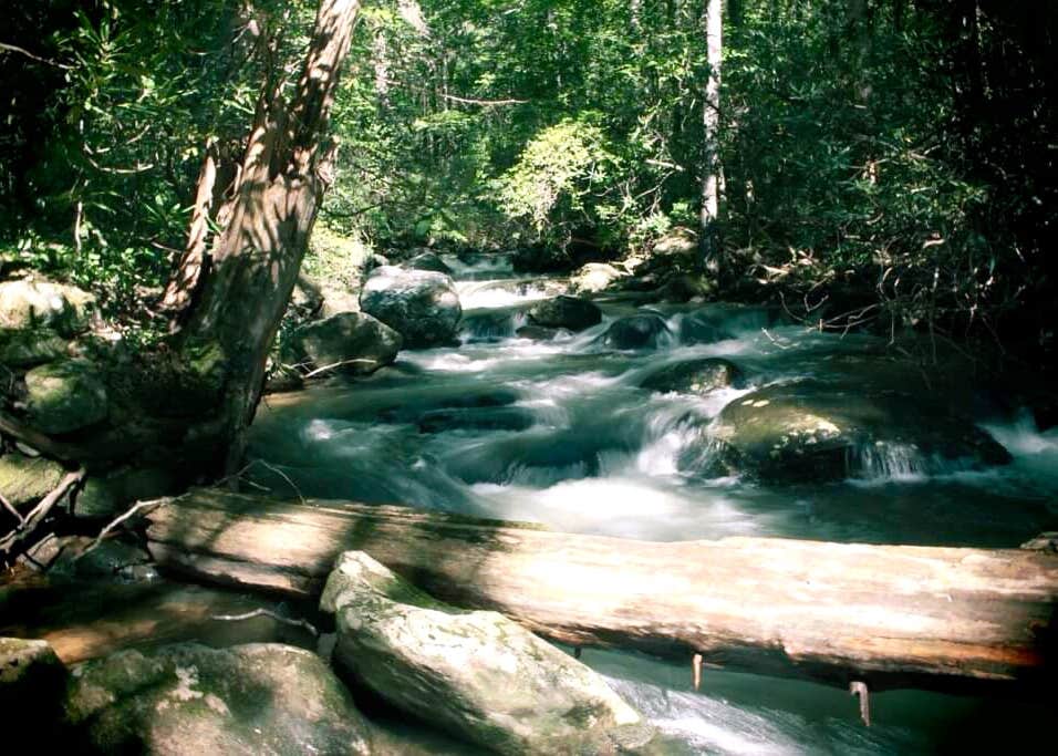 Asbury Hills Summer Camps Camping The Dyrt