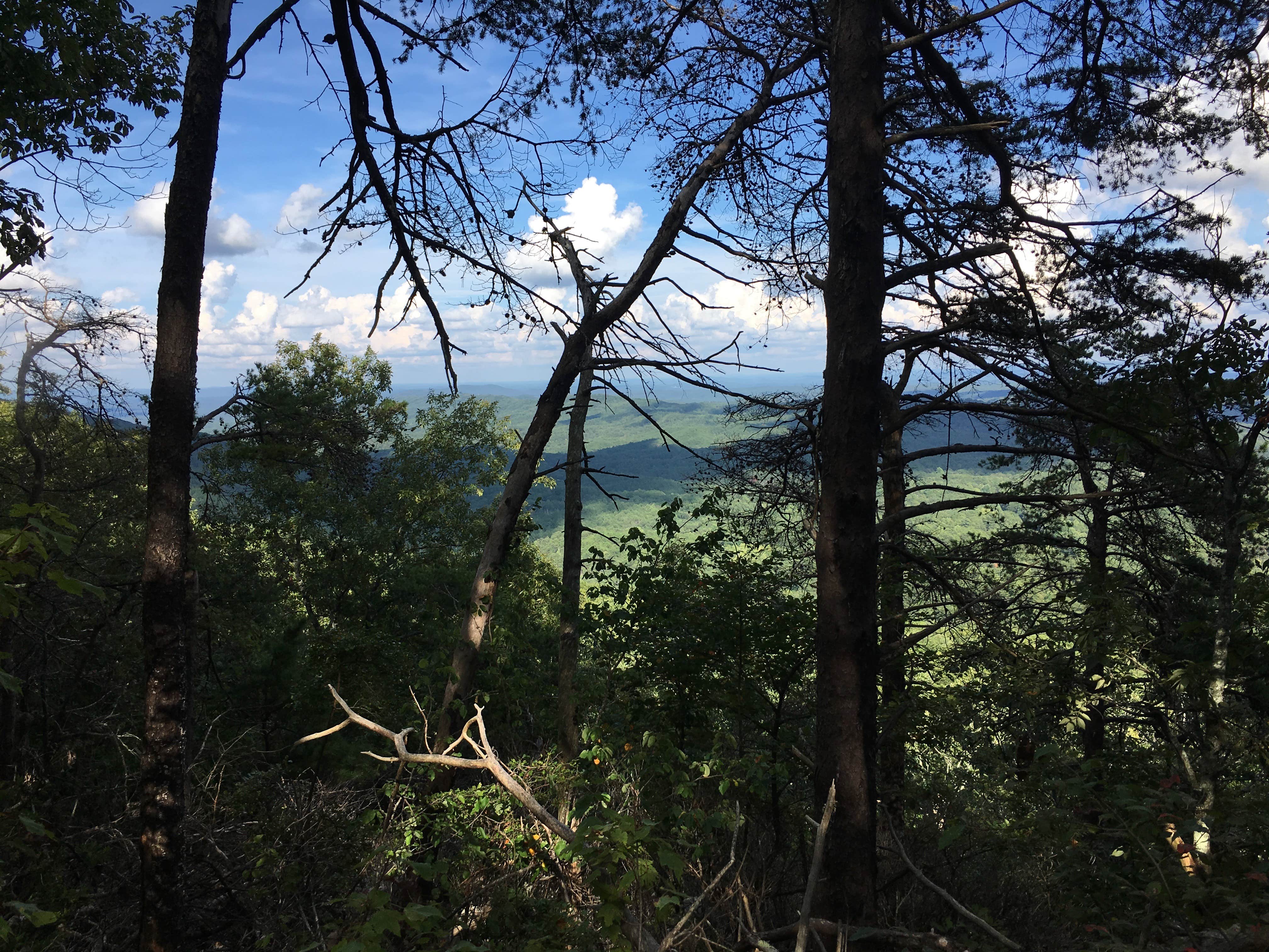 Camper submitted image from Pinhoti Campground North of Talladega Scenic Drive 1 - 2