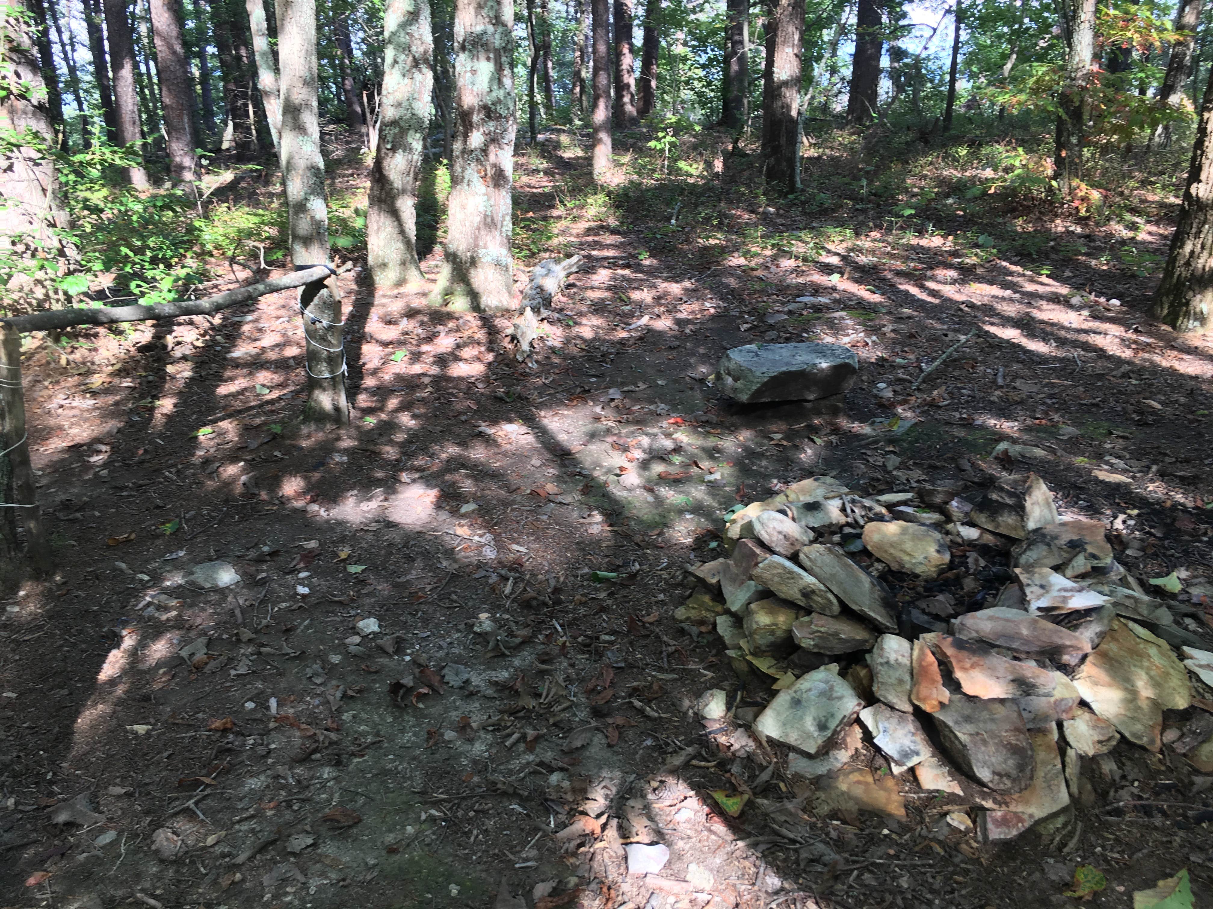 Camper-submitted photo at Pinhoti Campground North of Talladega Scenic Drive 1 — Cheaha State Park near Heflin, AL
