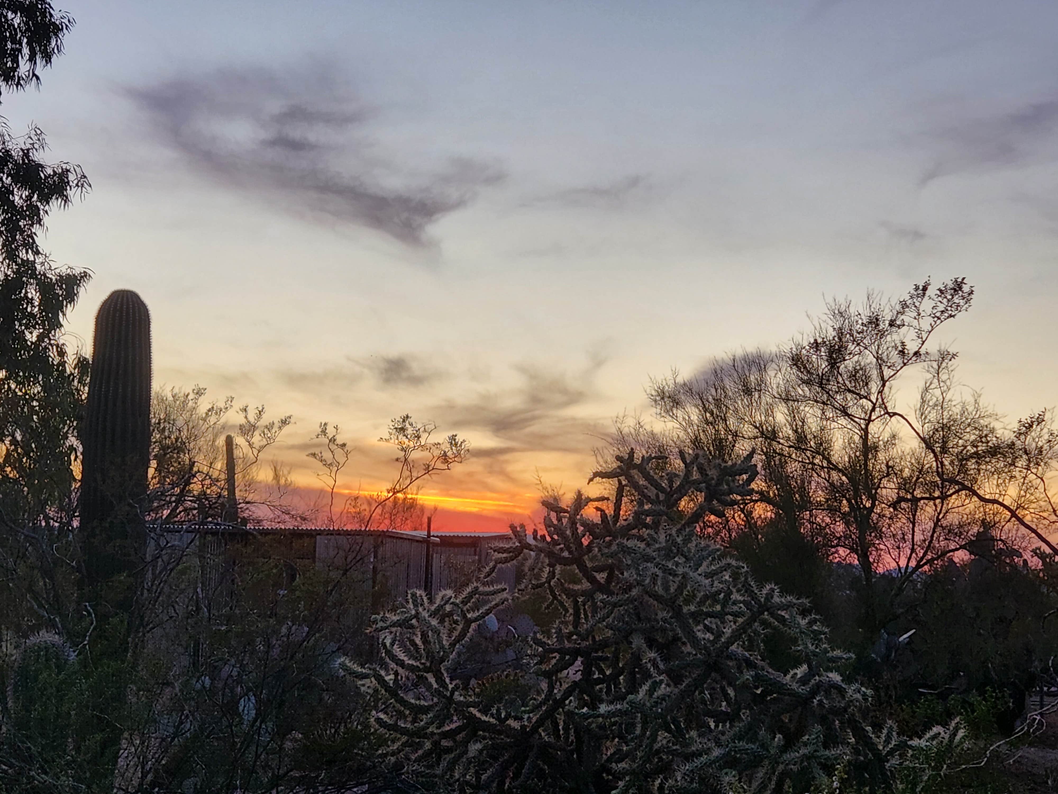 Camper-submitted photo at Camp Saguaro near Oro Valley, AZ