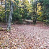 Review photo of Sugarloaf 1 Campground by Jean C., November 1, 2018