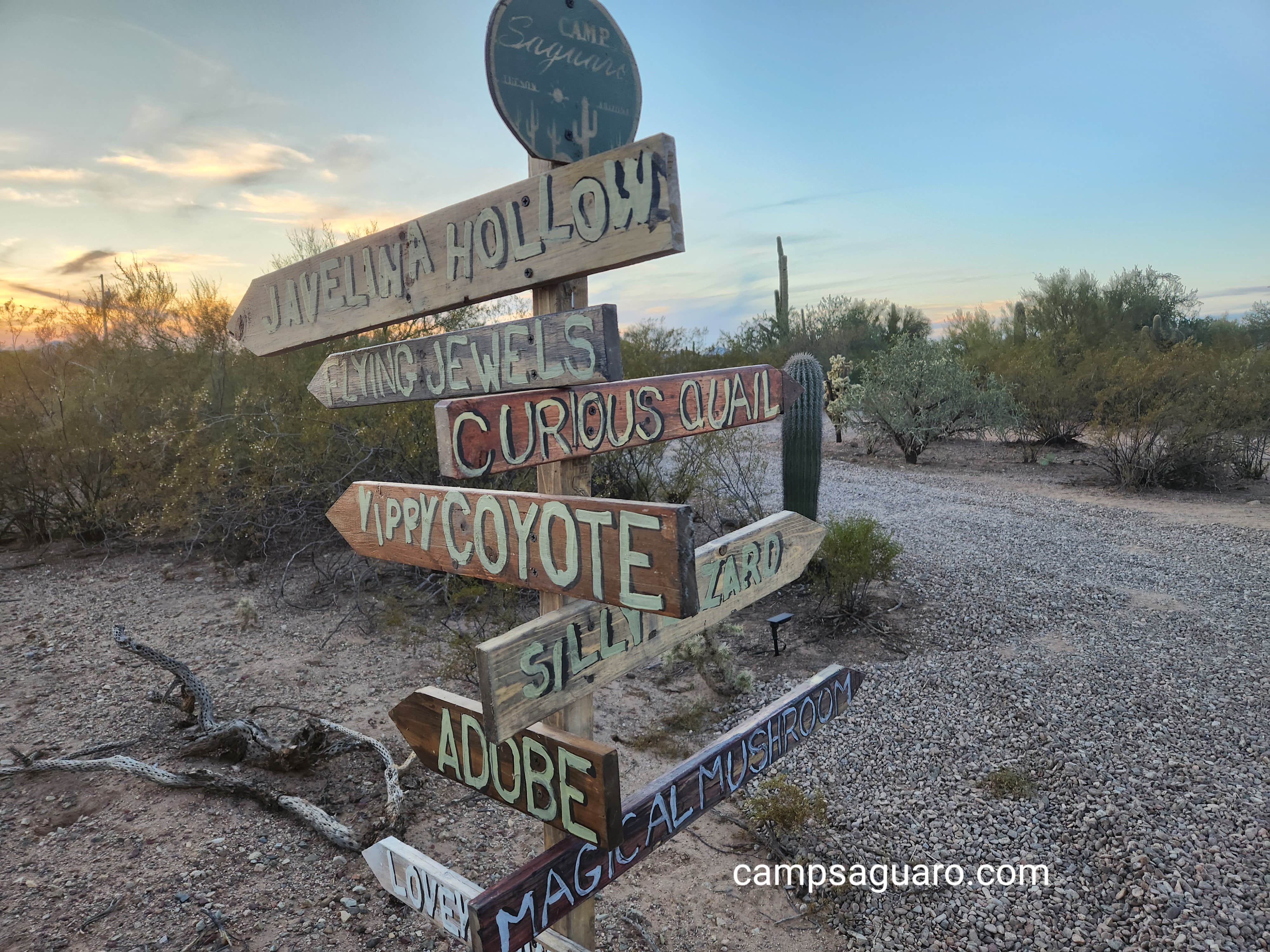 Camper-submitted photo at Camp Saguaro near Oro Valley, AZ