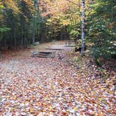 Review photo of Sugarloaf 1 Campground by Jean C., November 1, 2018