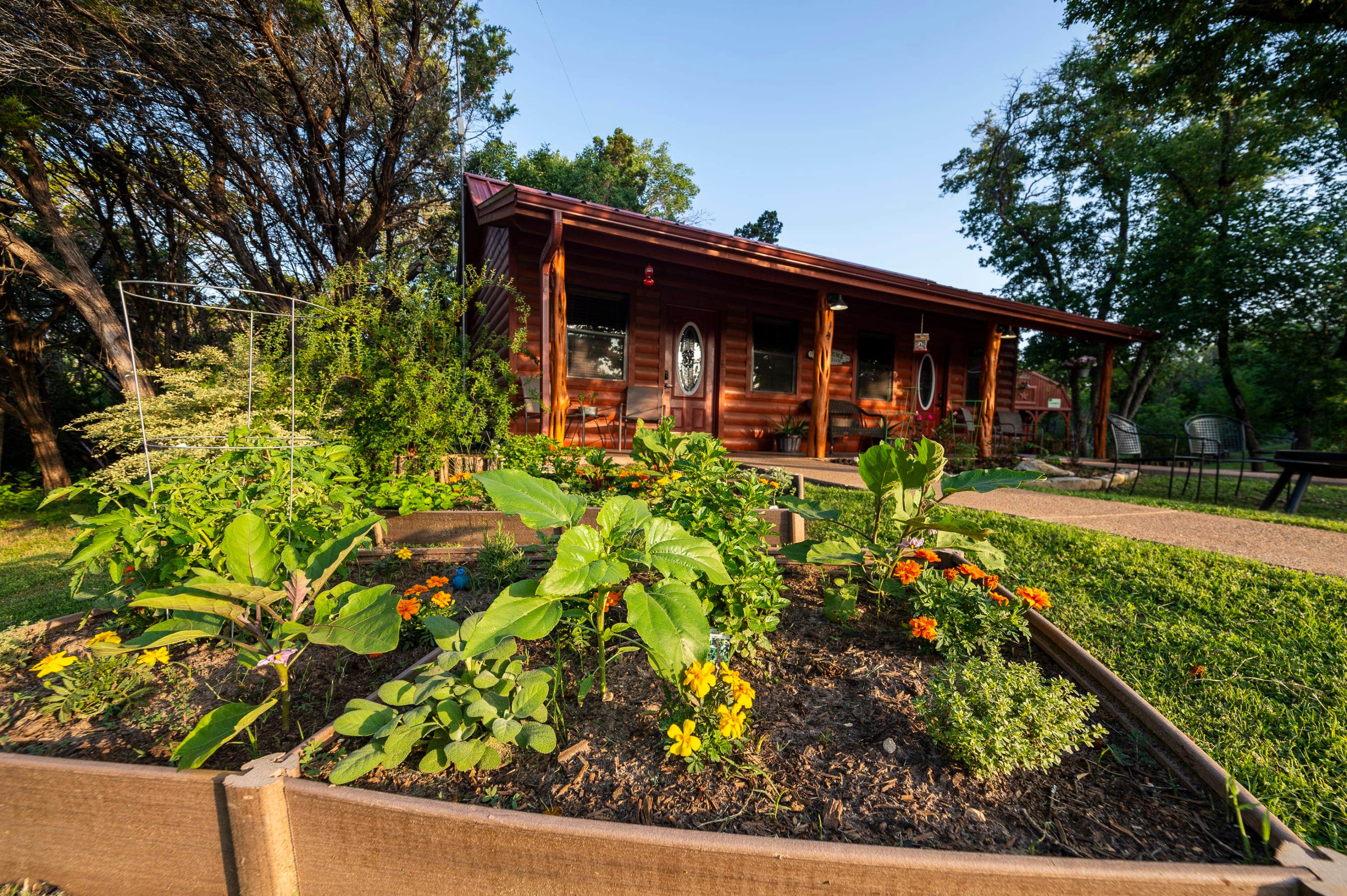 The Dyrt's photo of a cabin at Pet Friendly Cabin 4 - 15 minutes from Magnolia and Baylor near Meridian, TX