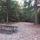 Review photo of Sugarloaf 1 Campground by Jean C., November 1, 2018