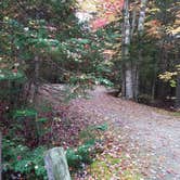 Review photo of Sugarloaf 1 Campground by Jean C., November 1, 2018