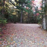 Review photo of Sugarloaf 1 Campground by Jean C., November 1, 2018