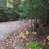 Review photo of Sugarloaf 1 Campground by Jean C., November 1, 2018