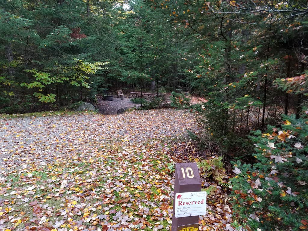 Camper submitted image from Sugarloaf 1 Campground - 5