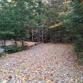 Review photo of Sugarloaf 1 Campground by Jean C., November 1, 2018