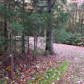 Review photo of Sugarloaf 1 Campground by Jean C., November 1, 2018