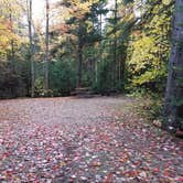 Review photo of Sugarloaf 1 Campground by Jean C., November 1, 2018