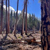 Review photo of Manzanita Lake Campground — Lassen Volcanic National Park by Lee D., November 25, 2023