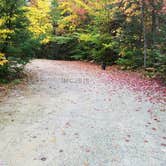 Review photo of Sugarloaf 1 Campground by Jean C., November 1, 2018