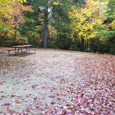 Review photo of Sugarloaf 1 Campground by Jean C., November 1, 2018