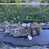 Review photo of Lake Clementine Boat In — Auburn State Recreation Area by Lee D., November 25, 2023