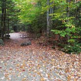 Review photo of Sugarloaf 1 Campground by Jean C., November 1, 2018