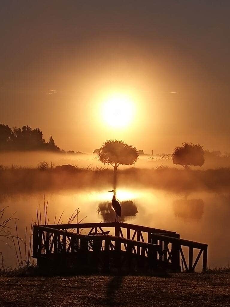 Camper-submitted photo at Vero Beach Equestrian Club near Fort Pierce, FL