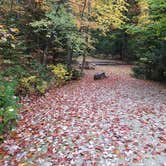 Review photo of Sugarloaf 1 Campground by Jean C., November 1, 2018