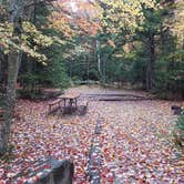 Review photo of Sugarloaf 1 Campground by Jean C., November 1, 2018