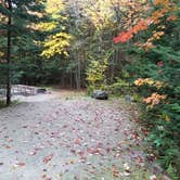 Review photo of Sugarloaf 1 Campground by Jean C., November 1, 2018