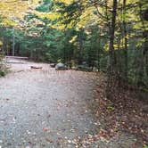 Review photo of Sugarloaf 1 Campground by Jean C., November 1, 2018